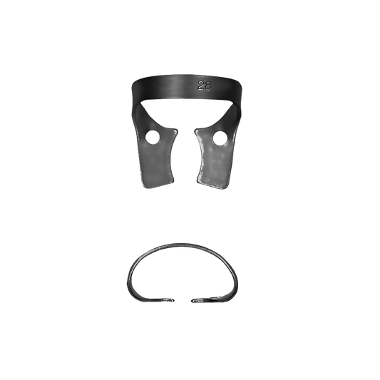 28 Lower Molars Rubber Dam Clamp - HiTeck Medical Instruments