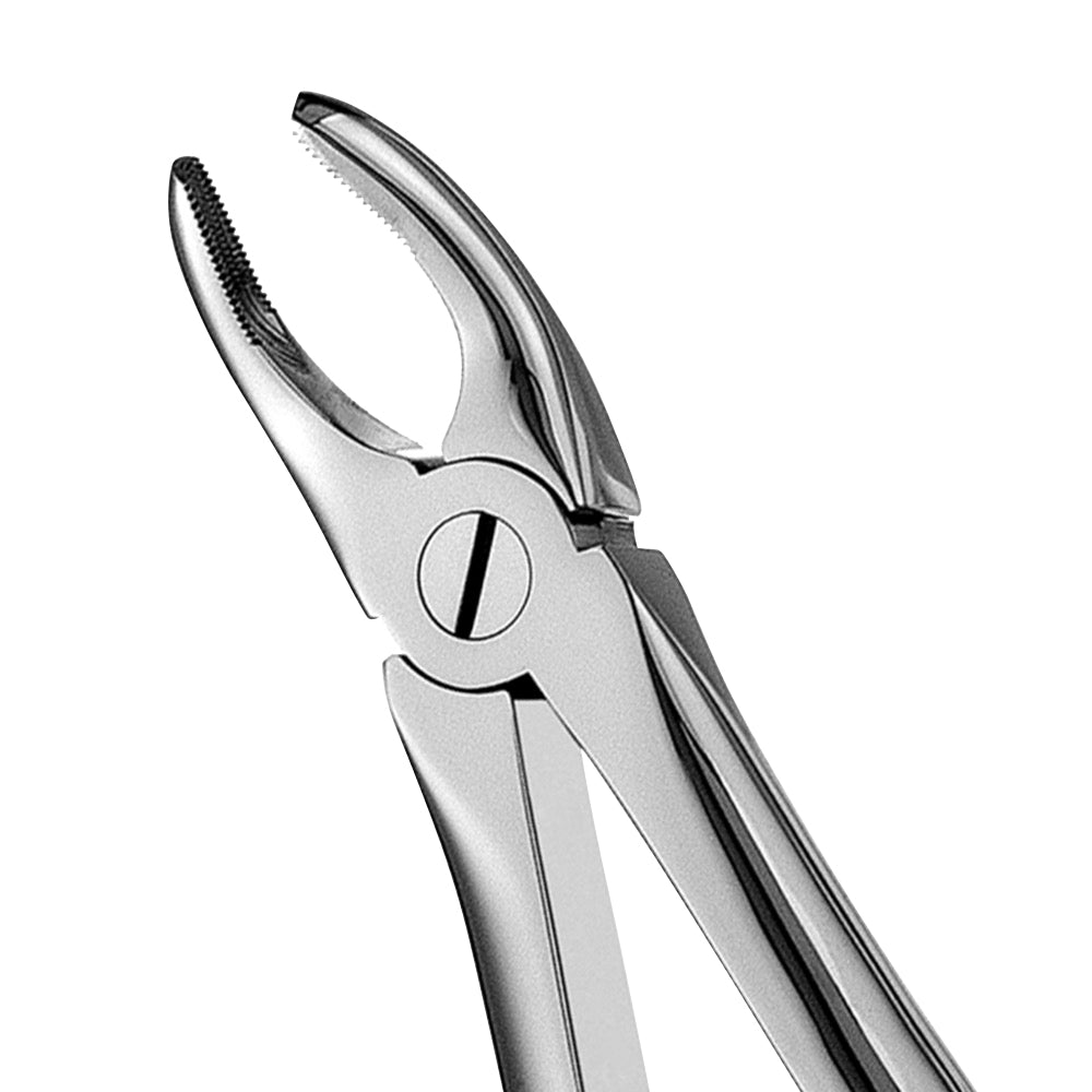 7 Serrated Upper Premolars Extraction Forceps - HiTeck Medical Instruments