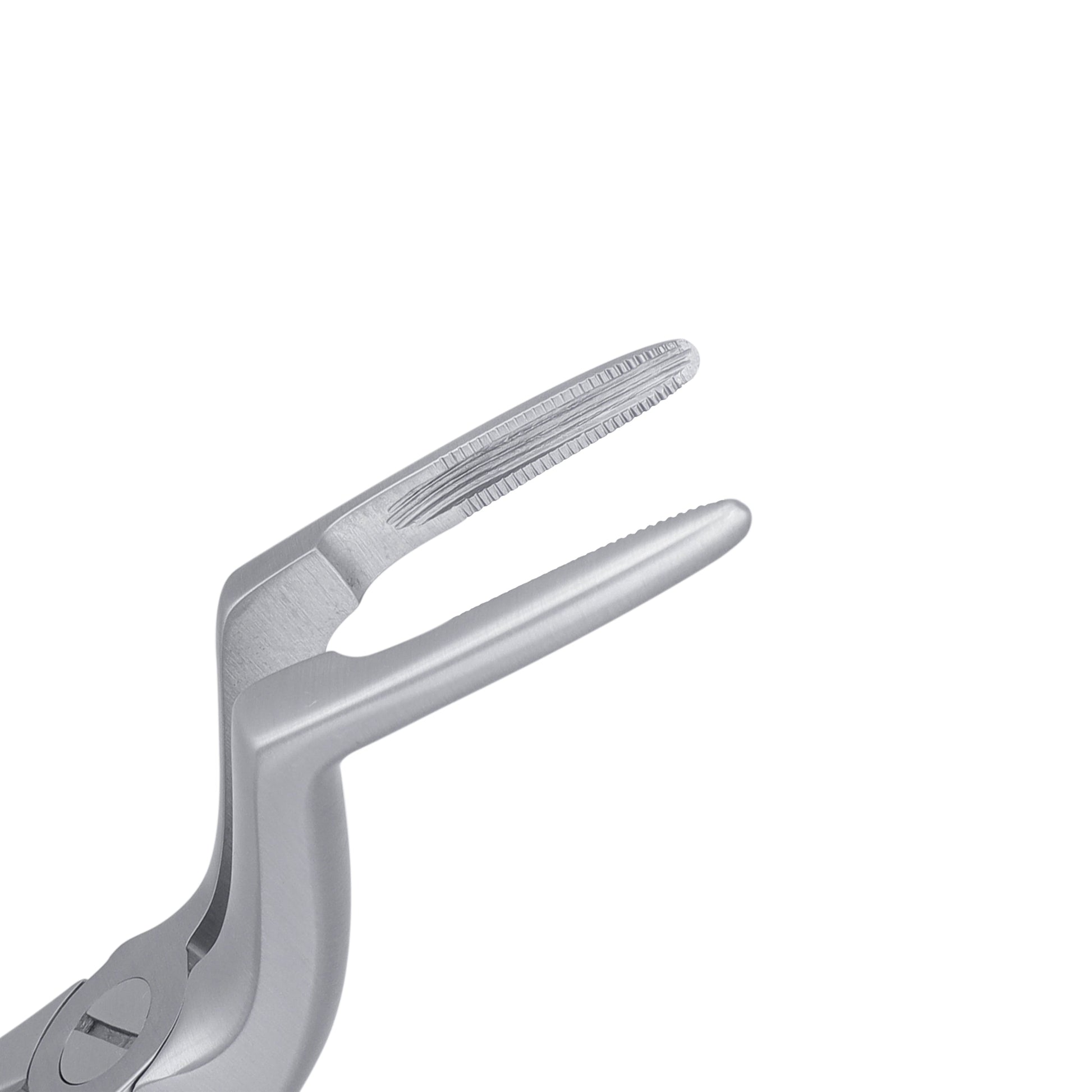 97 Upper Roots Serrated Extraction Forceps - HiTeck Medical Instruments