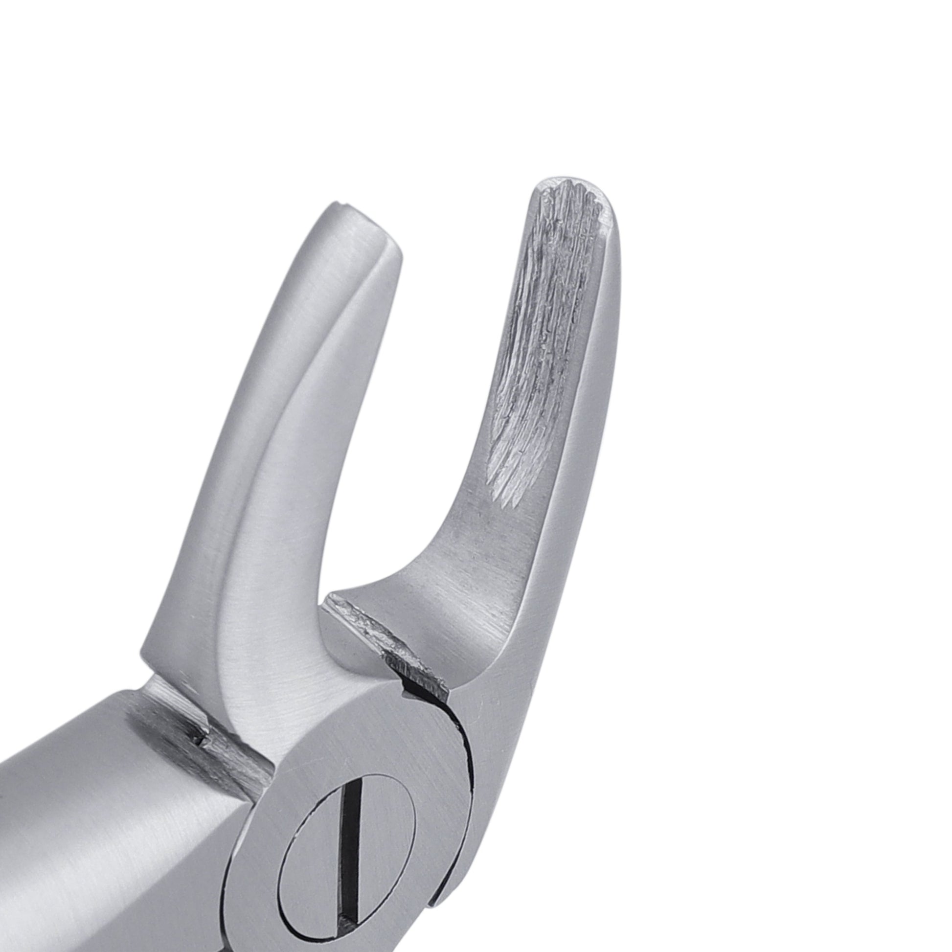 4 Lower Incisors, Canines Extraction Forcep - HiTeck Medical Instruments