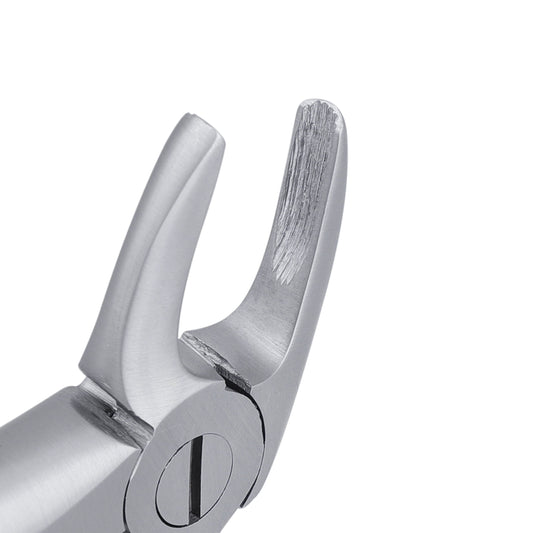 4 Lower Incisors, Canines Extraction Forcep - HiTeck Medical Instruments