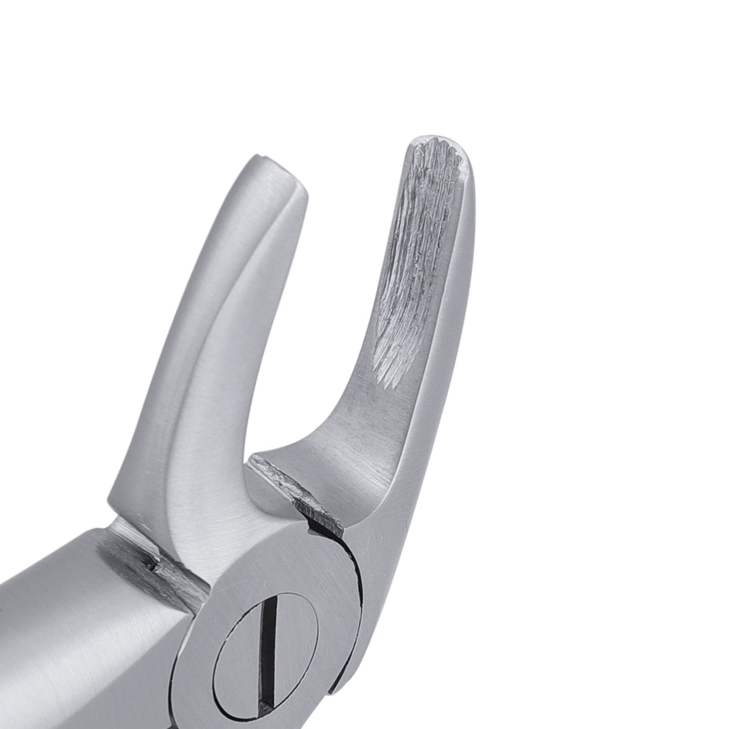 4 Lower Incisors, Canines Extraction Forcep - HiTeck Medical Instruments