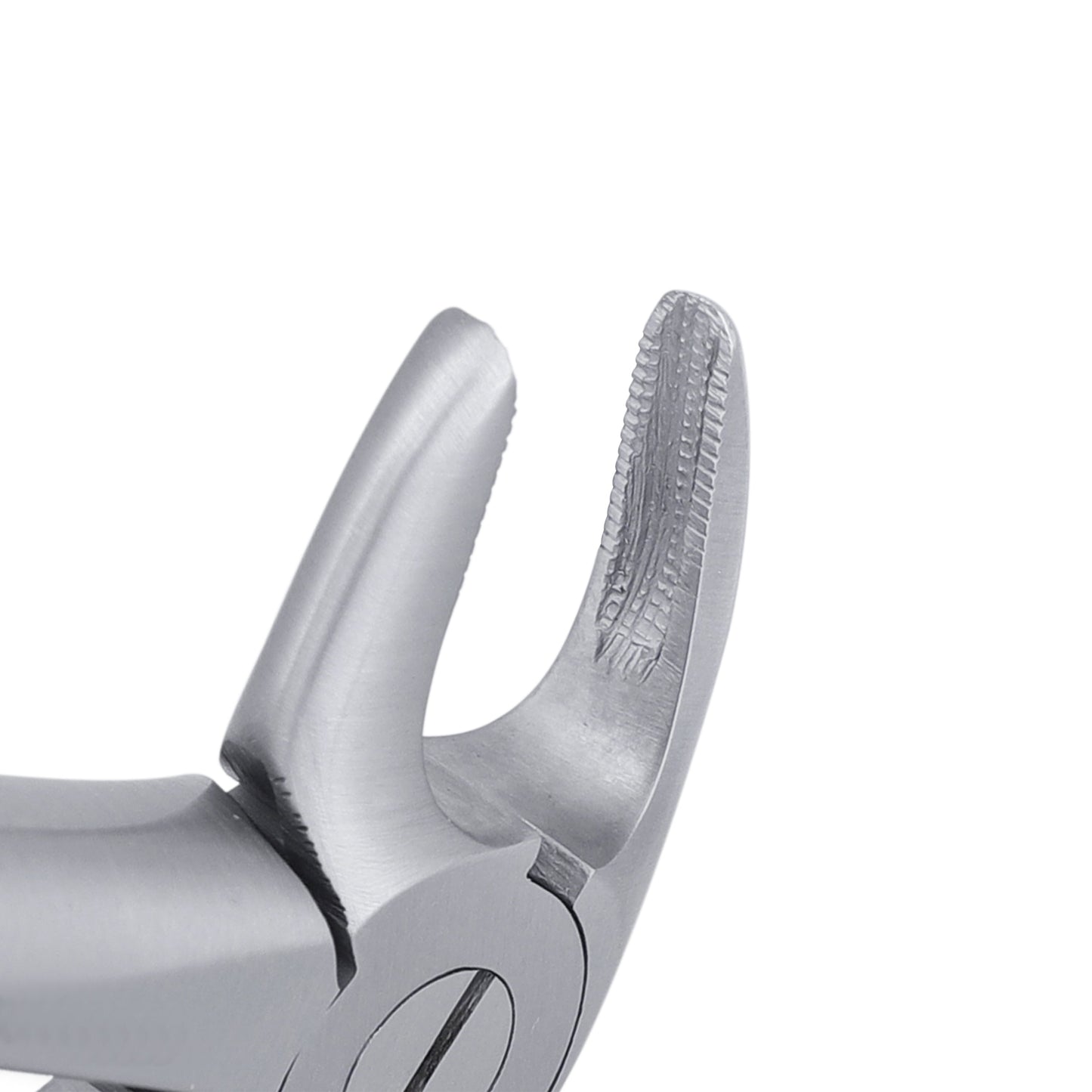 33 Lower Roots Serrated Extraction Forceps - HiTeck Medical Instruments