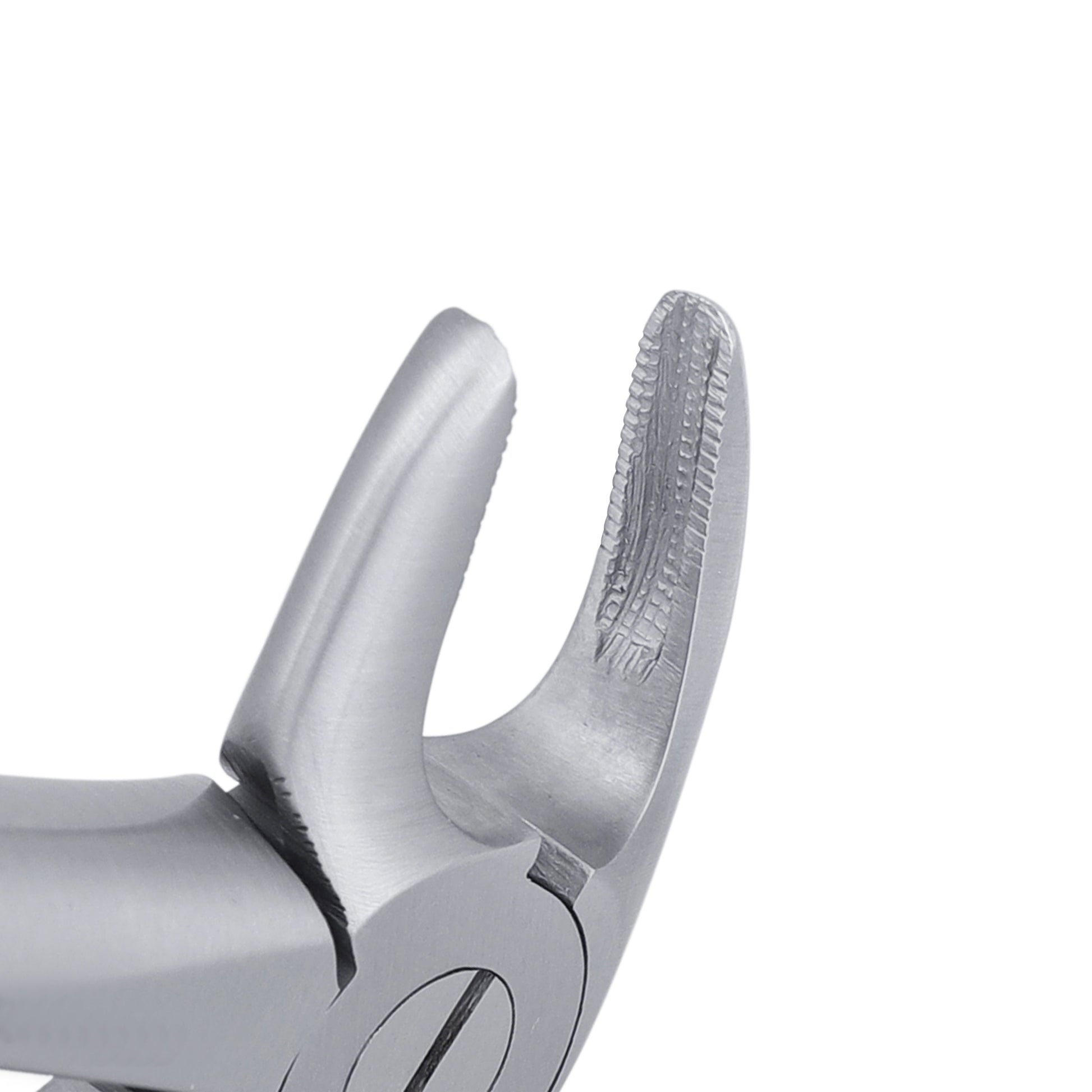 33 Lower Roots Serrated Extraction Forceps - HiTeck Medical Instruments