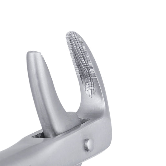74 Lower Roots Serrated Extraction Forceps - HiTeck Medical Instruments