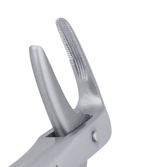 233 Lower Roots Serrated Extraction Forceps - HiTeck Medical Instruments