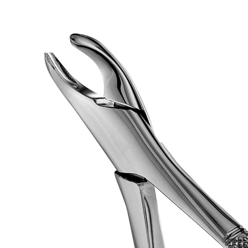 18R Harris Upper Molars Extraction Forceps - HiTeck Medical Instruments