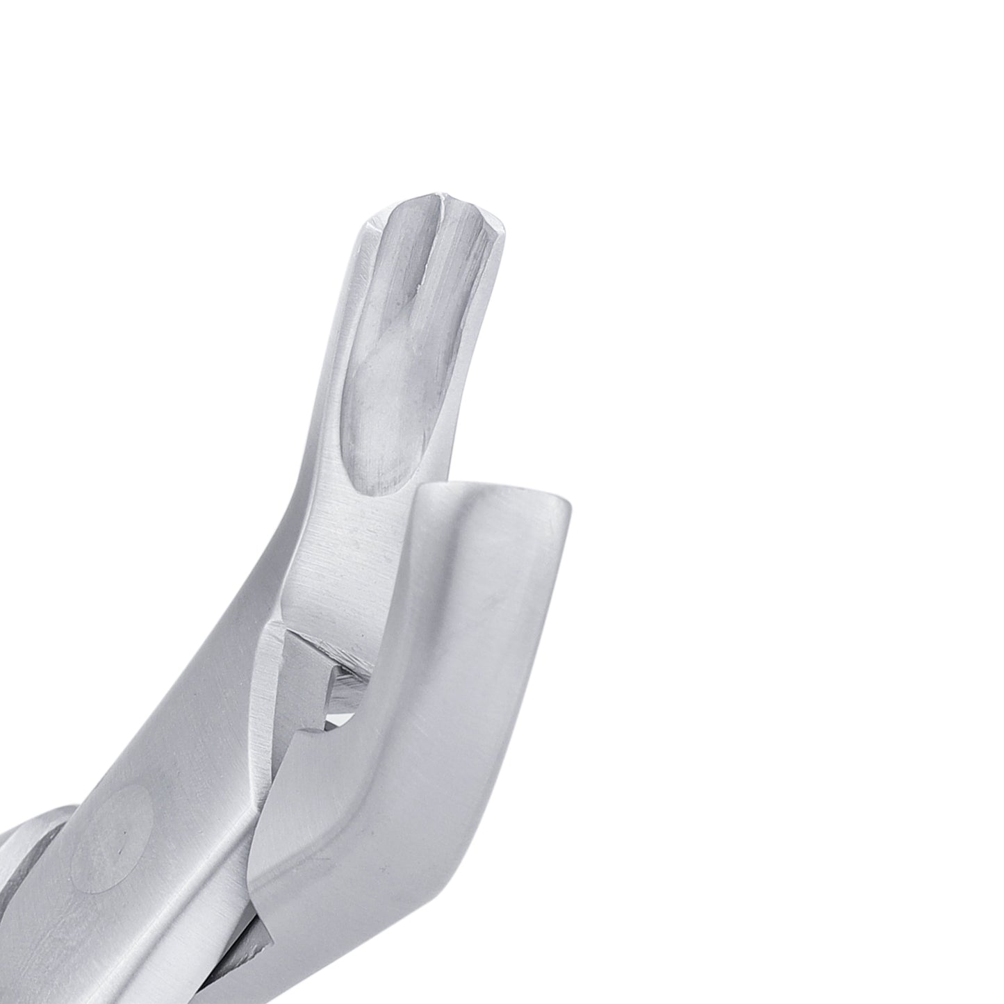 18L Harris Upper Molars Extraction Forceps - HiTeck Medical Instruments