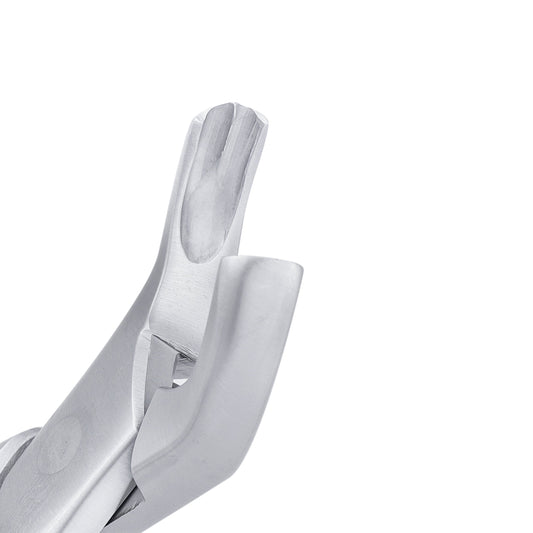 18L Harris Upper Molars Extraction Forceps - HiTeck Medical Instruments