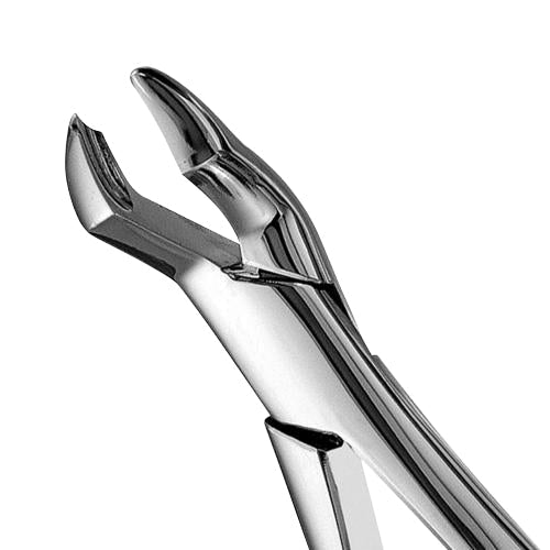 53L Upper Molars Extraction Forceps - HiTeck Medical Instruments