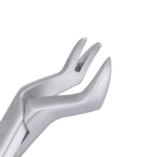 88L Nevius Upper Molars Extraction Forceps - HiTeck Medical Instruments