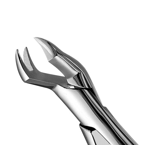 88R Nevius Upper Molars Extraction Forceps - HiTeck Medical Instruments