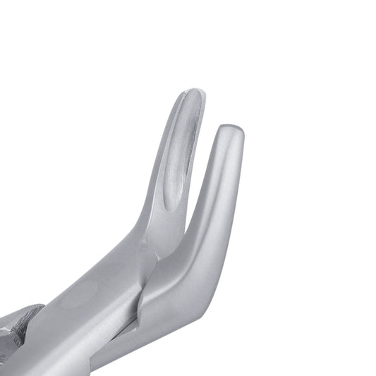 151 Cryer Universal Lower Incisors, Canines & Premolars Extraction Forceps - HiTeck Medical Instruments
