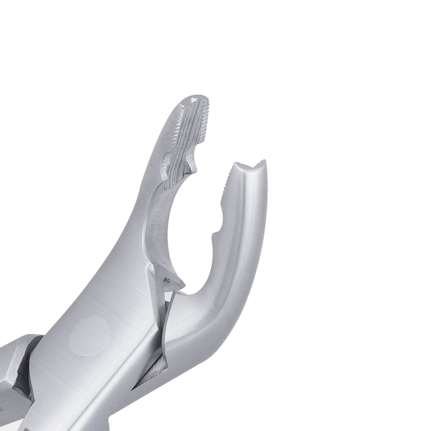 151AS Split Beaks Serrated Lower Incisors, Canines & Premolars Extraction Forceps - HiTeck Medical Instruments