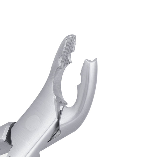 151AS Split Beaks Serrated Lower Incisors, Canines & Premolars Extraction Forceps - HiTeck Medical Instruments