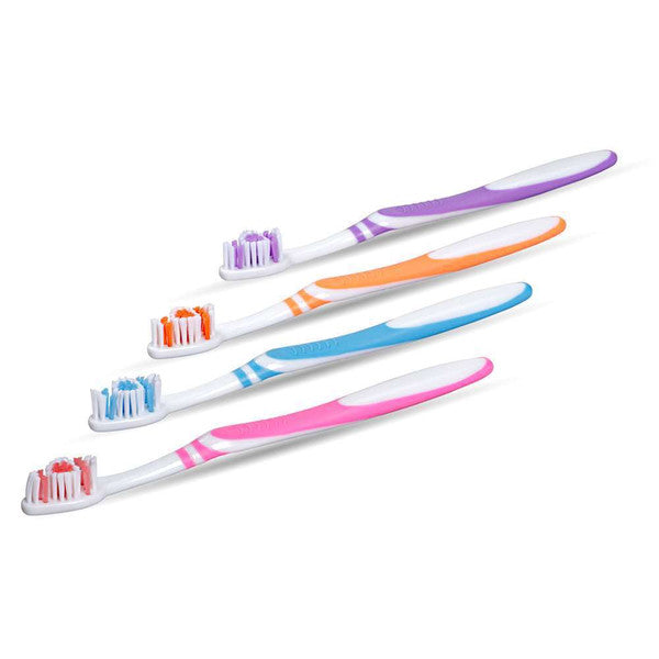 Professional Toothbrush Premium Adult or Kids 72/box. - Adult