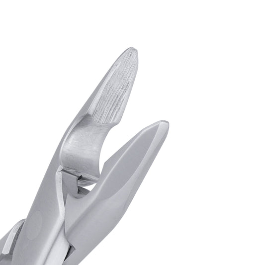 AF1 Standard Apical Upper Anteriors Extraction Forceps - HiTeck Medical Instruments