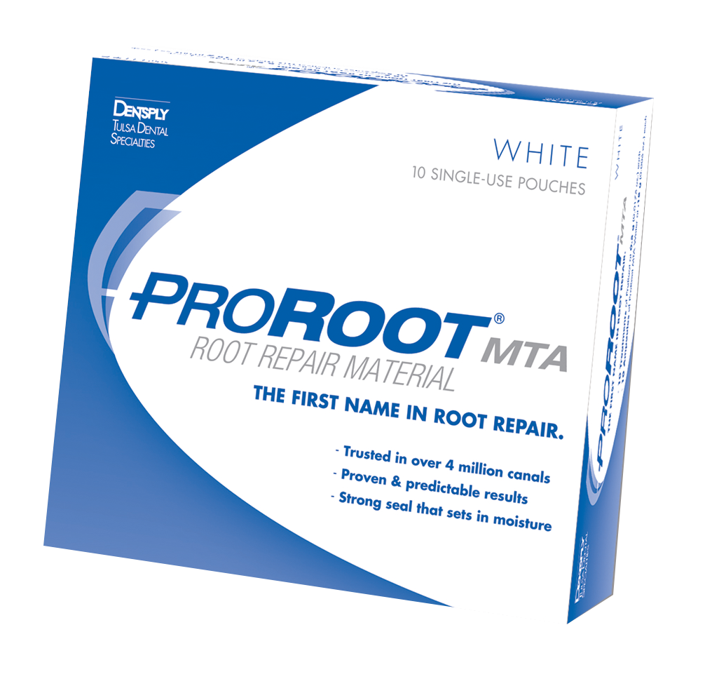 Dentsply PRO ROOT MTA 10x0.5GR WHITE