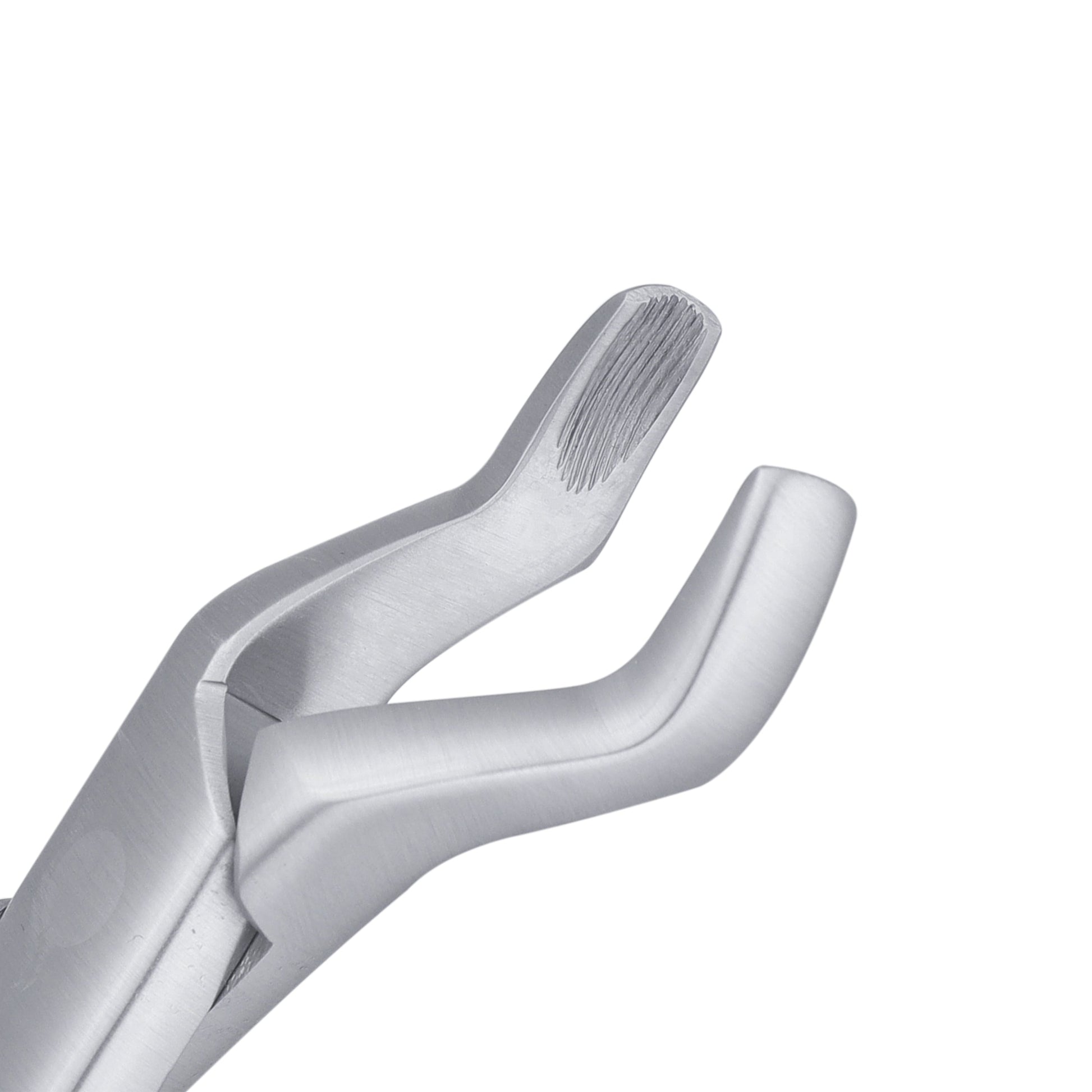 210S Upper Molars Extraction Forcep - HiTeck Medical Instruments