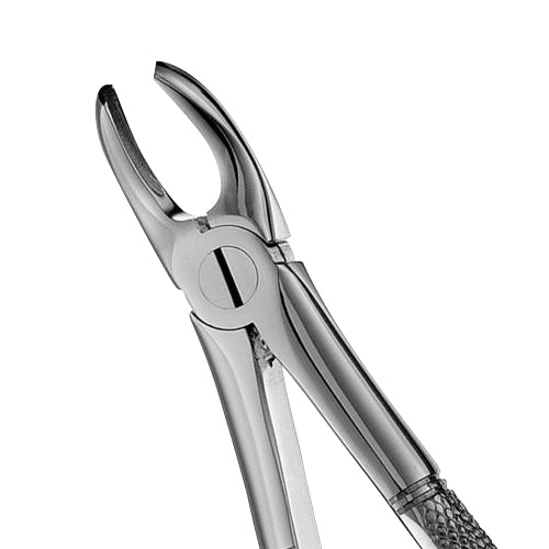 MD2 Mead Serrated Upper Molars Extraction Forcep - HiTeck Medical Instruments