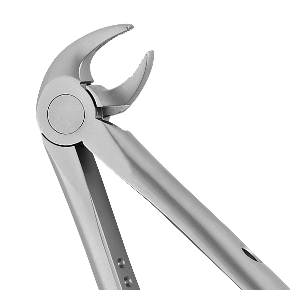 13 Lower Premolars Atraumair Extraction Forceps - HiTeck Medical Instruments