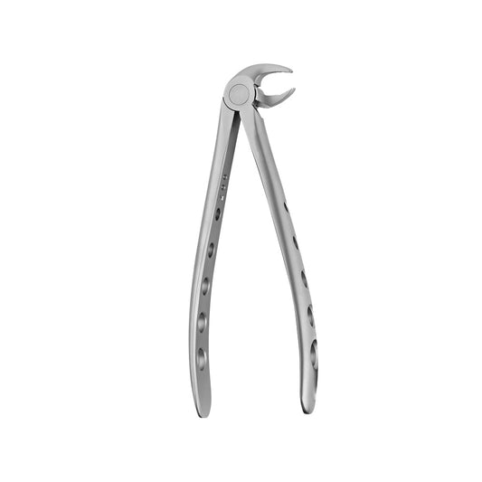 13 Lower Premolars Atraumair Extraction Forceps - HiTeck Medical Instruments