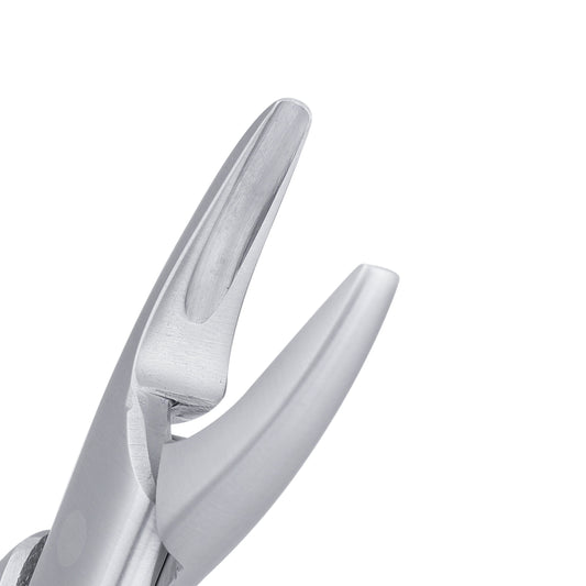 1S Pedo standard Upper Incisors & Canines Extraction Forcep - HiTeck Medical Instruments