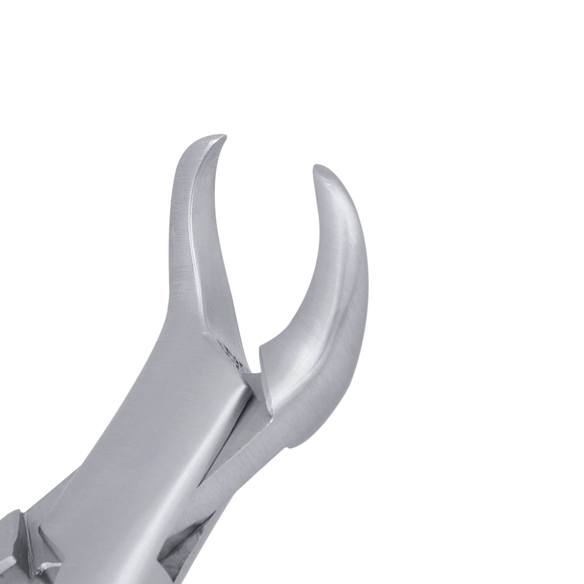 23K Cowhorn Lower Primary Molars Extraction Forcep - HiTeck Medical Instruments