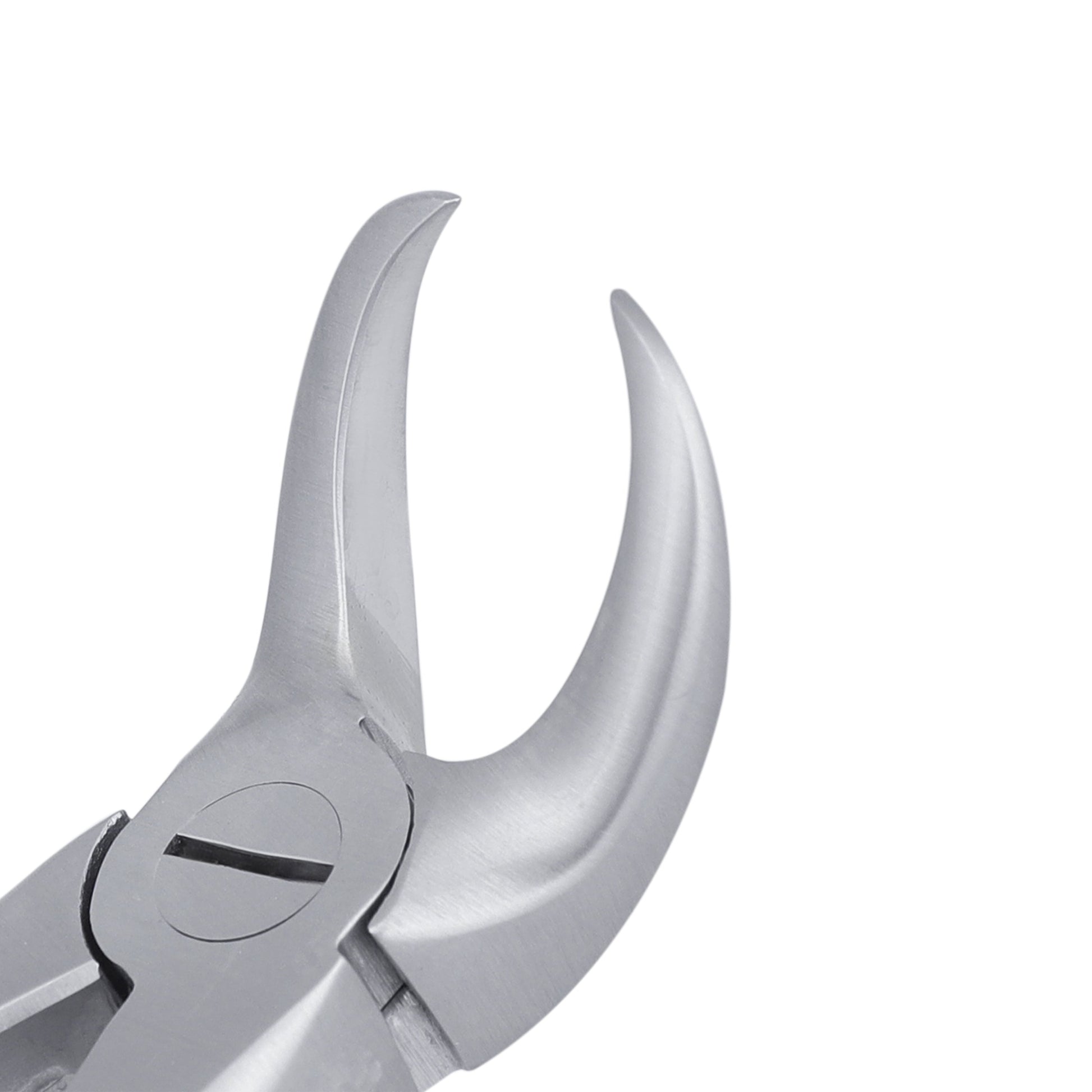 23 Cowhorn Lower Molars Atraumair Extraction Forceps - HiTeck Medical Instruments