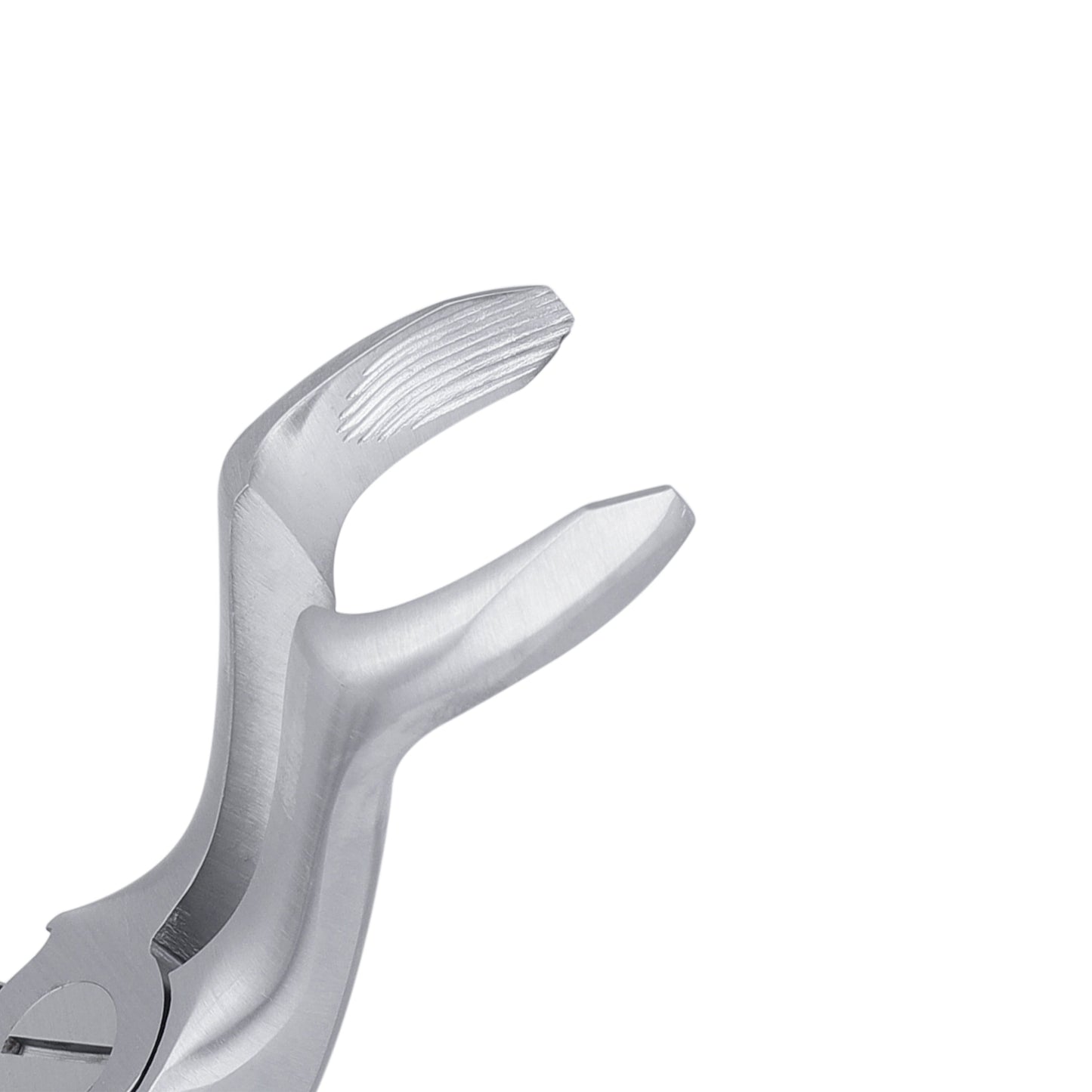 67 Upper Molars Atraumair Extraction Forceps - HiTeck Medical Instruments