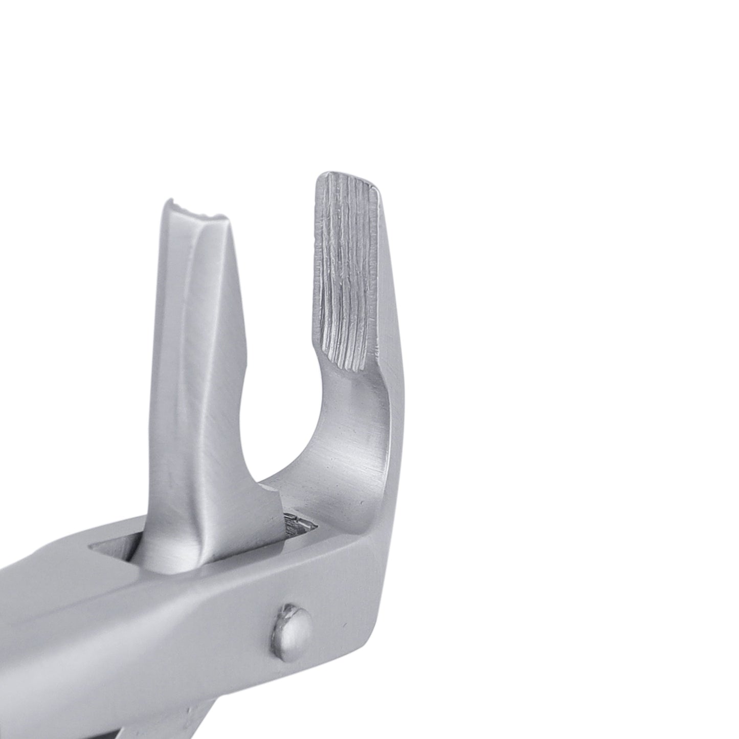 36 Apical Lower Premolars & Incisors Atraumair Extraction Forceps - HiTeck Medical Instruments