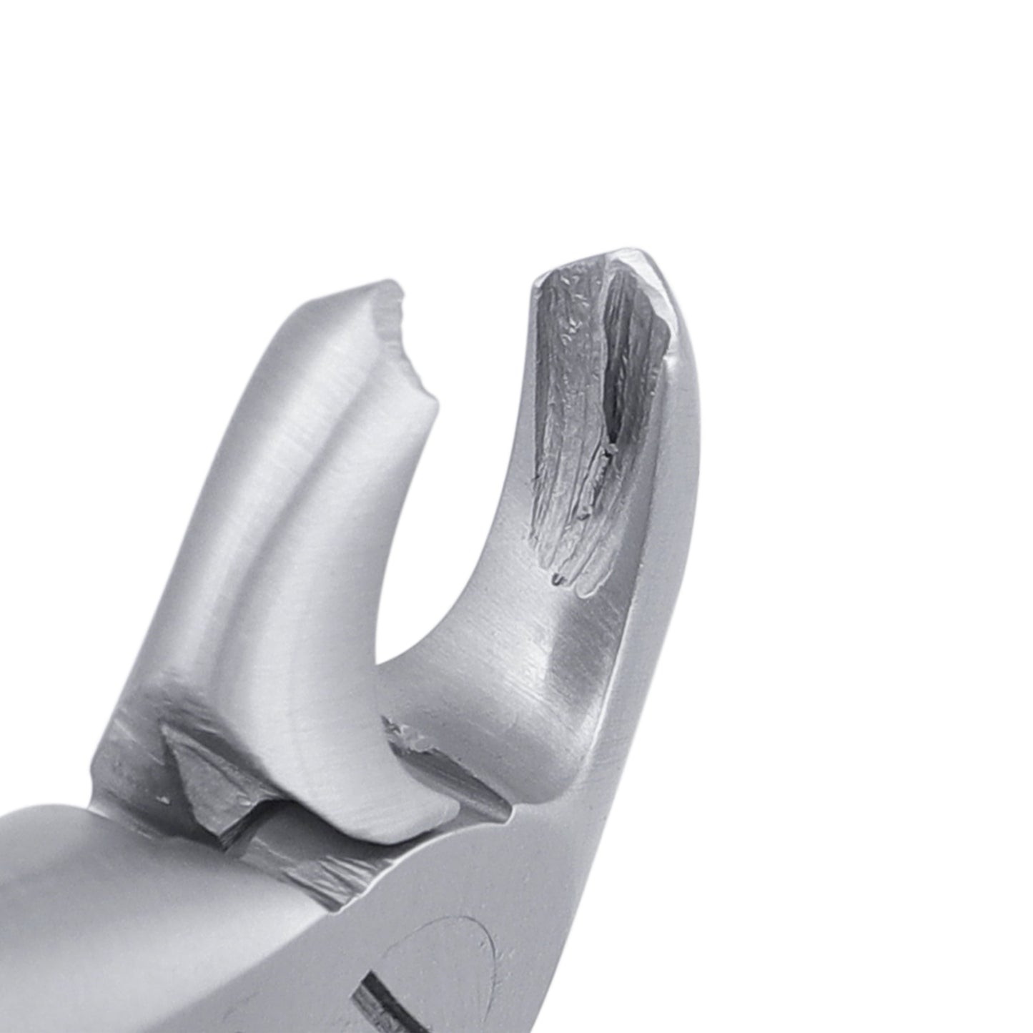 2C Pedo Lower Molars English Extraction Forcep - HiTeck Medical Instruments