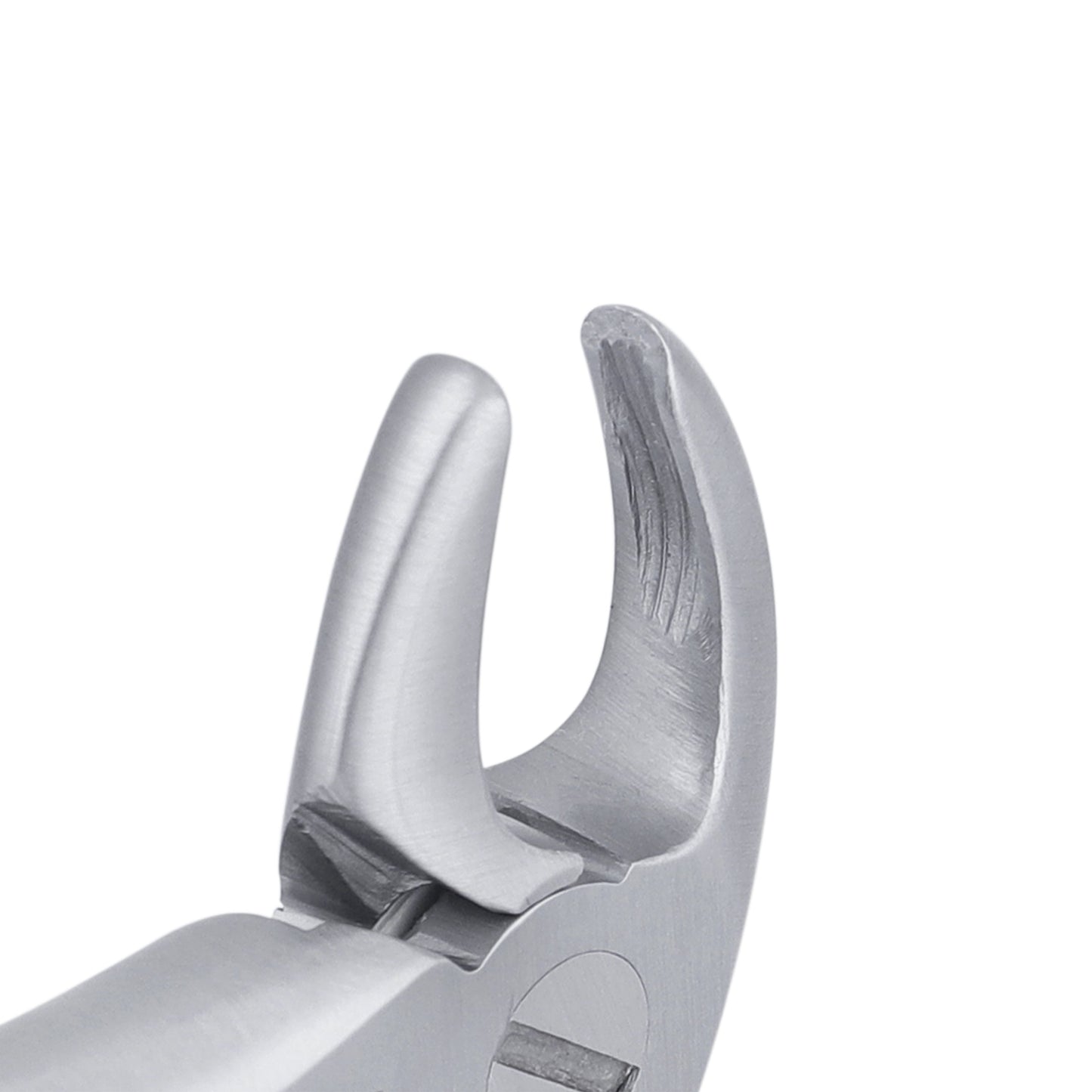 3C Pedo Lower Roots English Extraction Forcep - HiTeck Medical Instruments