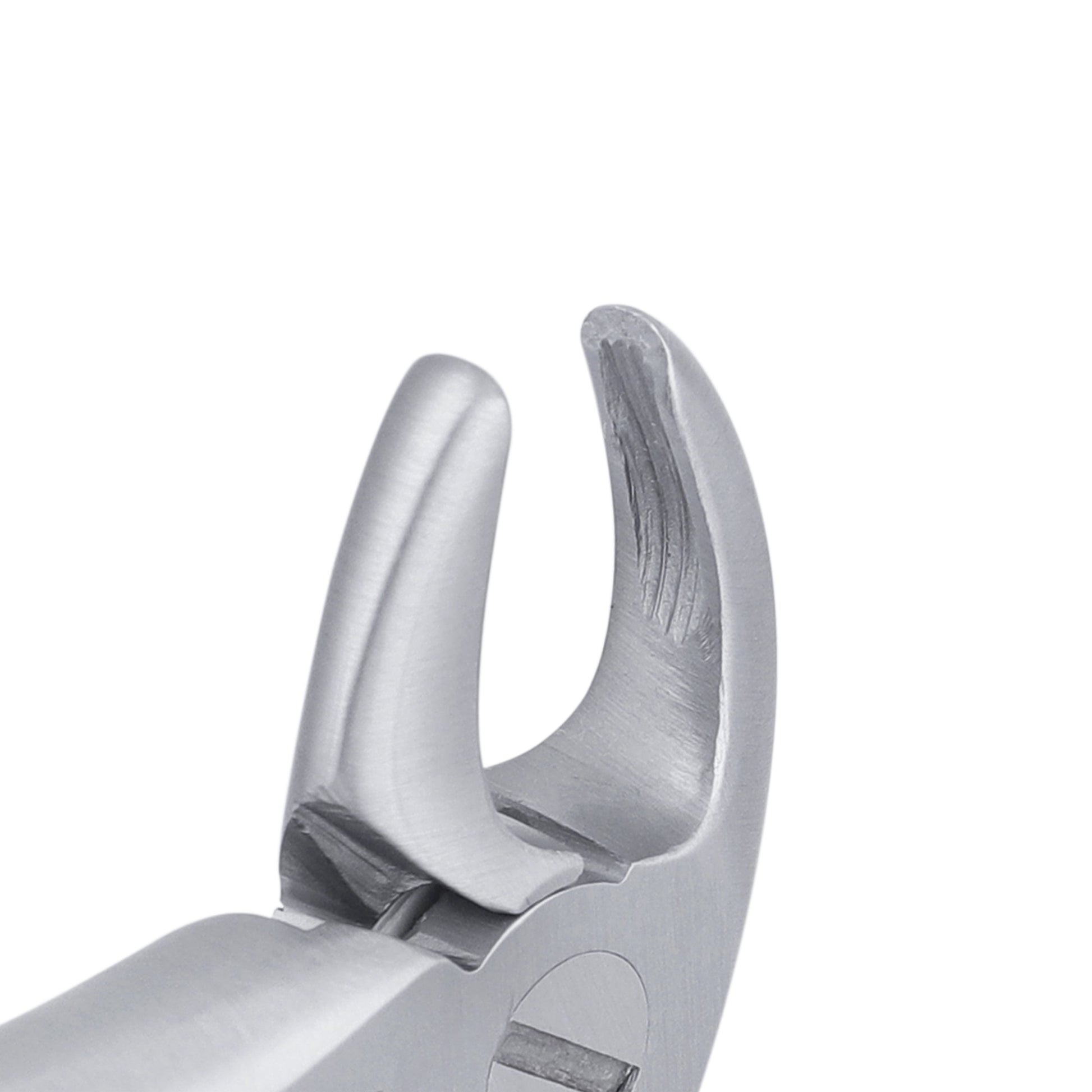 3C Pedo Lower Roots English Extraction Forcep - HiTeck Medical Instruments