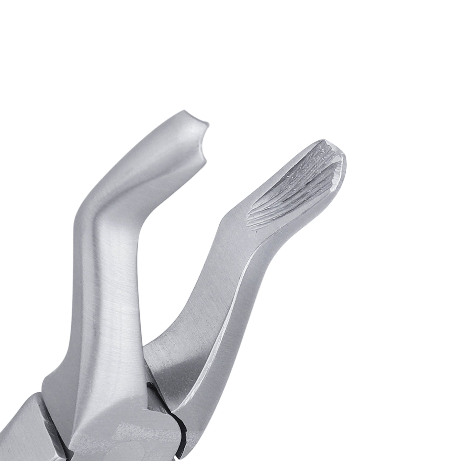 4C Pedo Upper Premolars English Extraction Forcep - HiTeck Medical Instruments