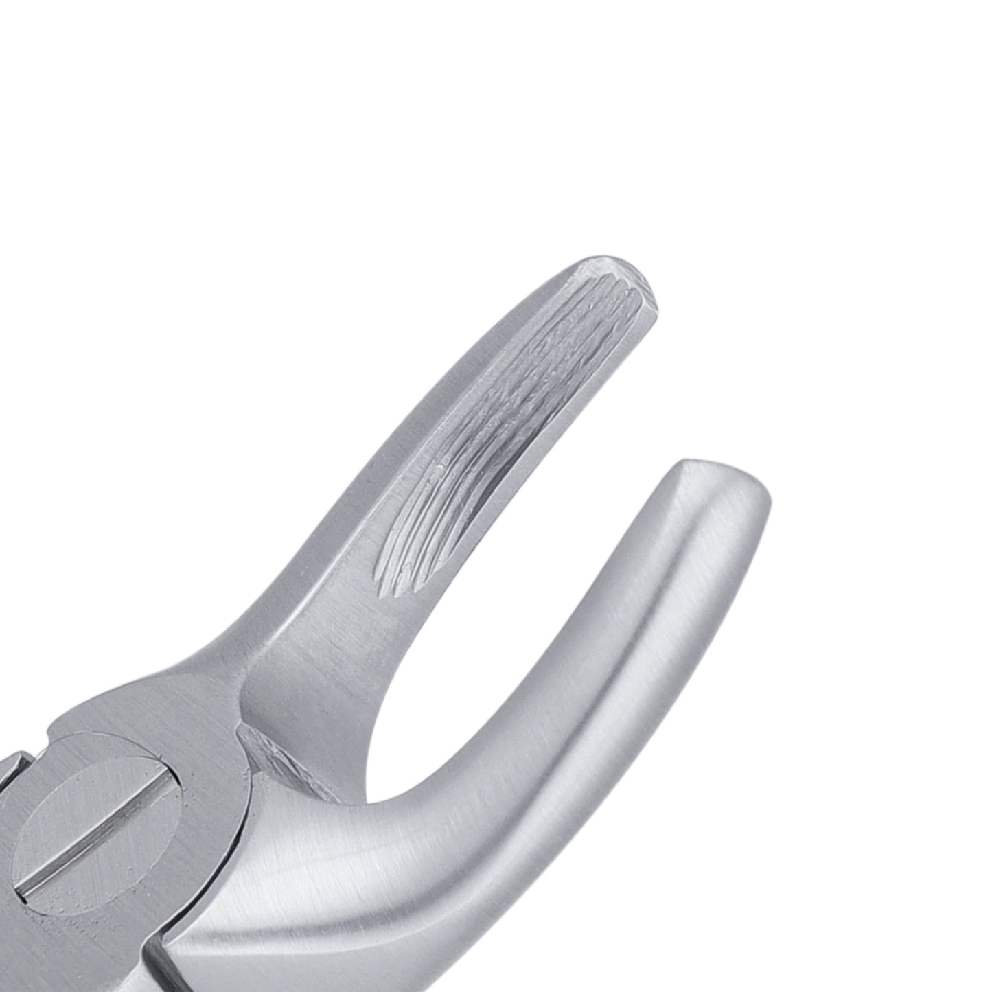 6C Pedo Upper Molars English Extraction Forcep - HiTeck Medical Instruments