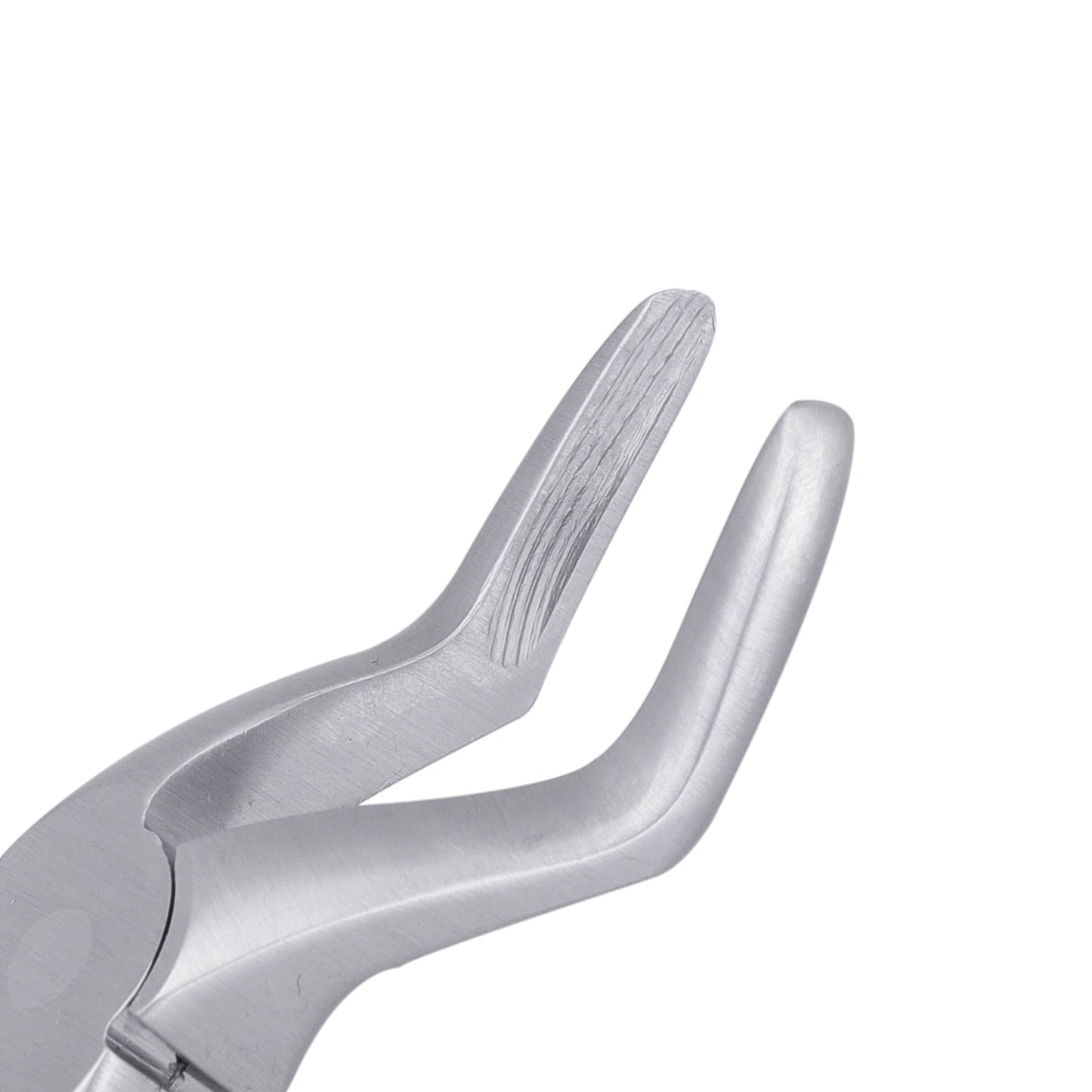 7C Pedo Upper Roots English Extraction Forcep - HiTeck Medical Instruments