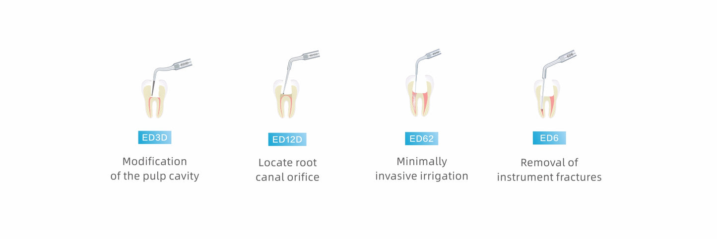 Professional ultrasonic scaler endodontic tips for root canal treatment – ED3D for pulp cavity modification, ED12D for accurate root canal orifice location, ED62 for minimally invasive endodontic irrigation, and ED6 for effective instrument fracture removal. Essential for precision in endodontic procedures.