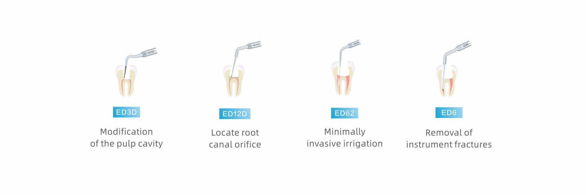 Professional ultrasonic scaler endodontic tips for root canal treatment – ED3D for pulp cavity modification, ED12D for accurate root canal orifice location, ED62 for minimally invasive endodontic irrigation, and ED6 for effective instrument fracture removal. Essential for precision in endodontic procedures.