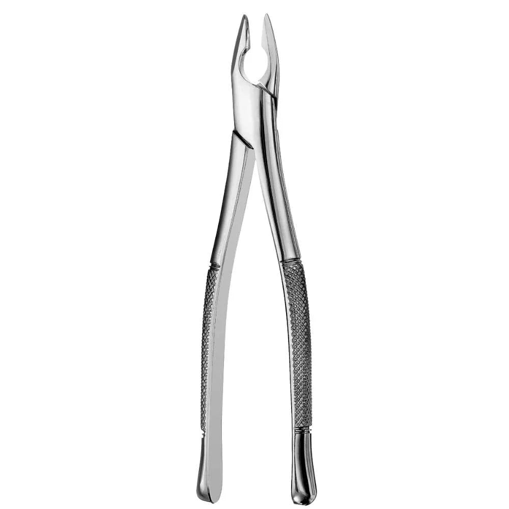 1 Upper Anterior Apical Forceps, Vertical Extraction for Incisors & Cuspids - SurgiWorld FR1U