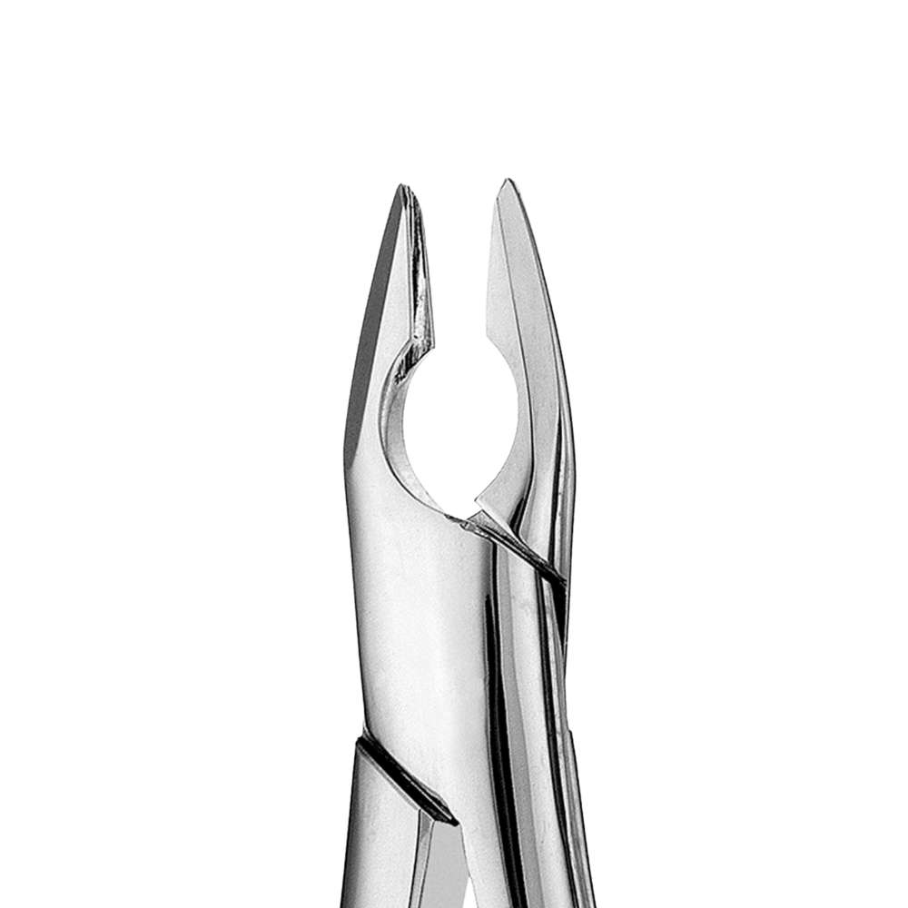 1 Upper Anterior Apical Forceps, Vertical Extraction for Incisors & Cuspids - SurgiWorld FR1U, product photo 2