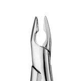 1 Upper Anterior Apical Forceps, Vertical Extraction for Incisors & Cuspids - SurgiWorld FR1U, product photo 2