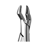 10S Forceps, Upper Molar Extraction Forceps - SurgiWorld FR10S, product photo 2