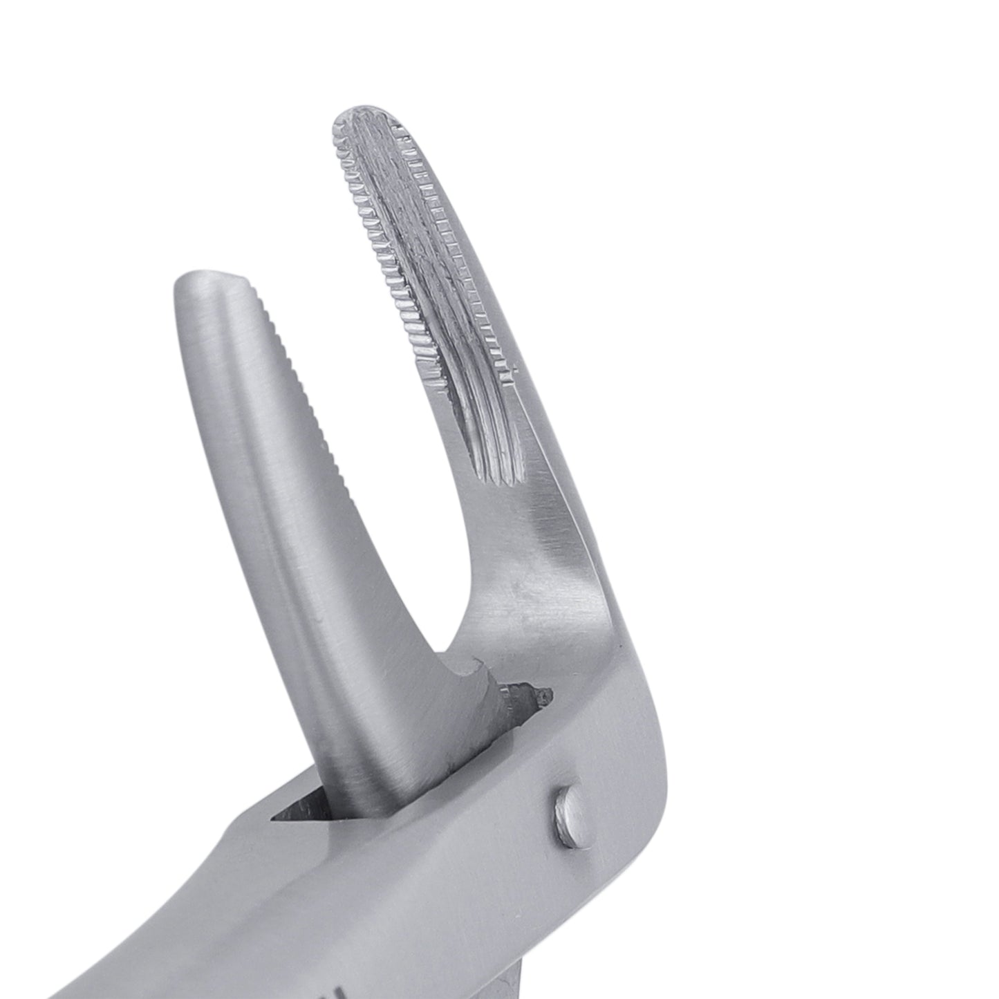 233 Lower Roots Serrated Extraction Forceps - HiTeck Medical Instruments