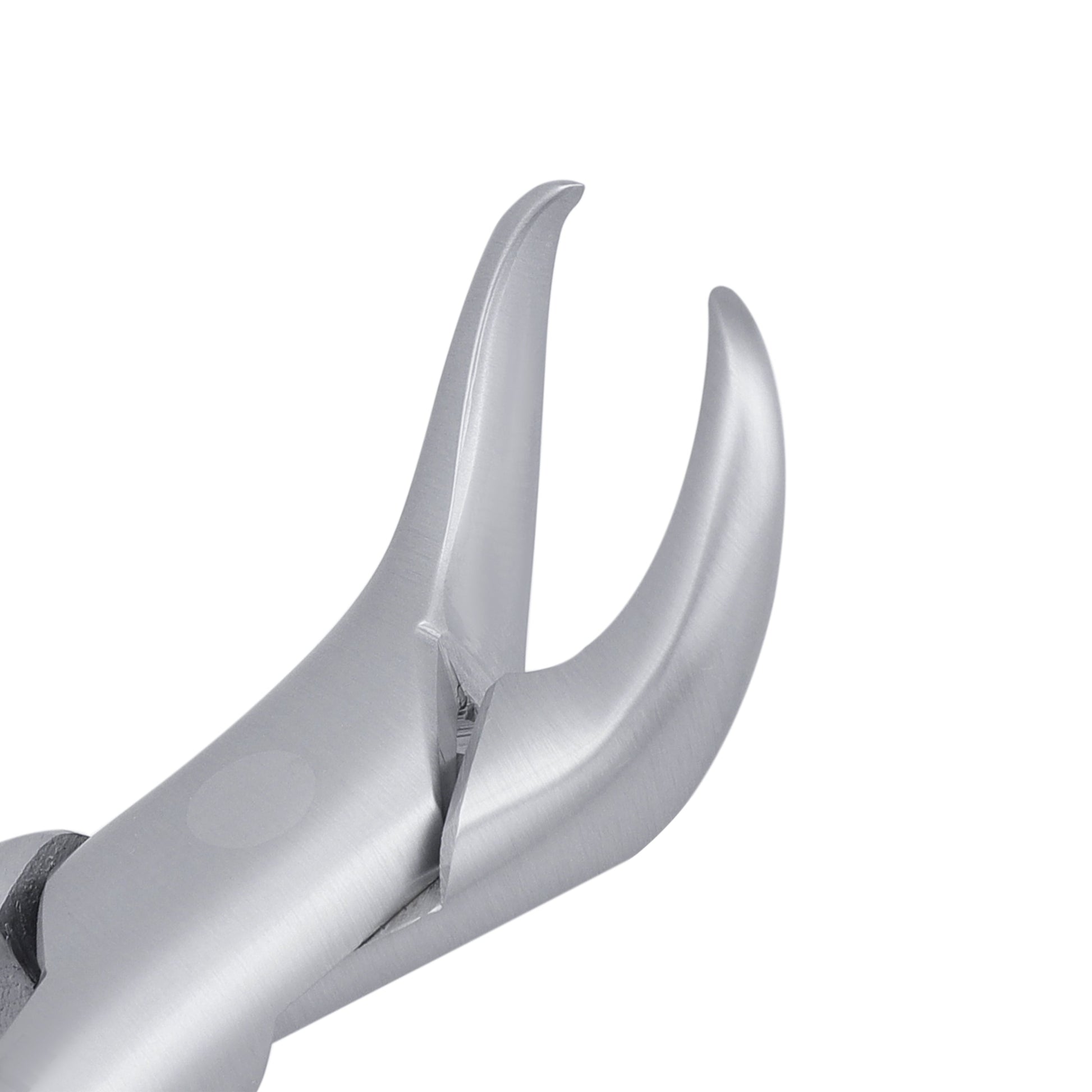 23 Cowhorn Lower Molars Extraction Forceps - HiTeck Medical Instruments