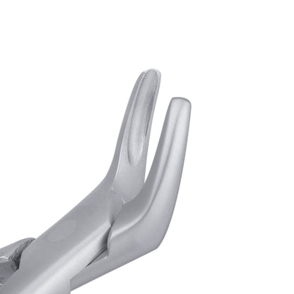 151 Cryer Universal Lower Incisors, Canines & Premolars Extraction Forceps - HiTeck Medical Instruments
