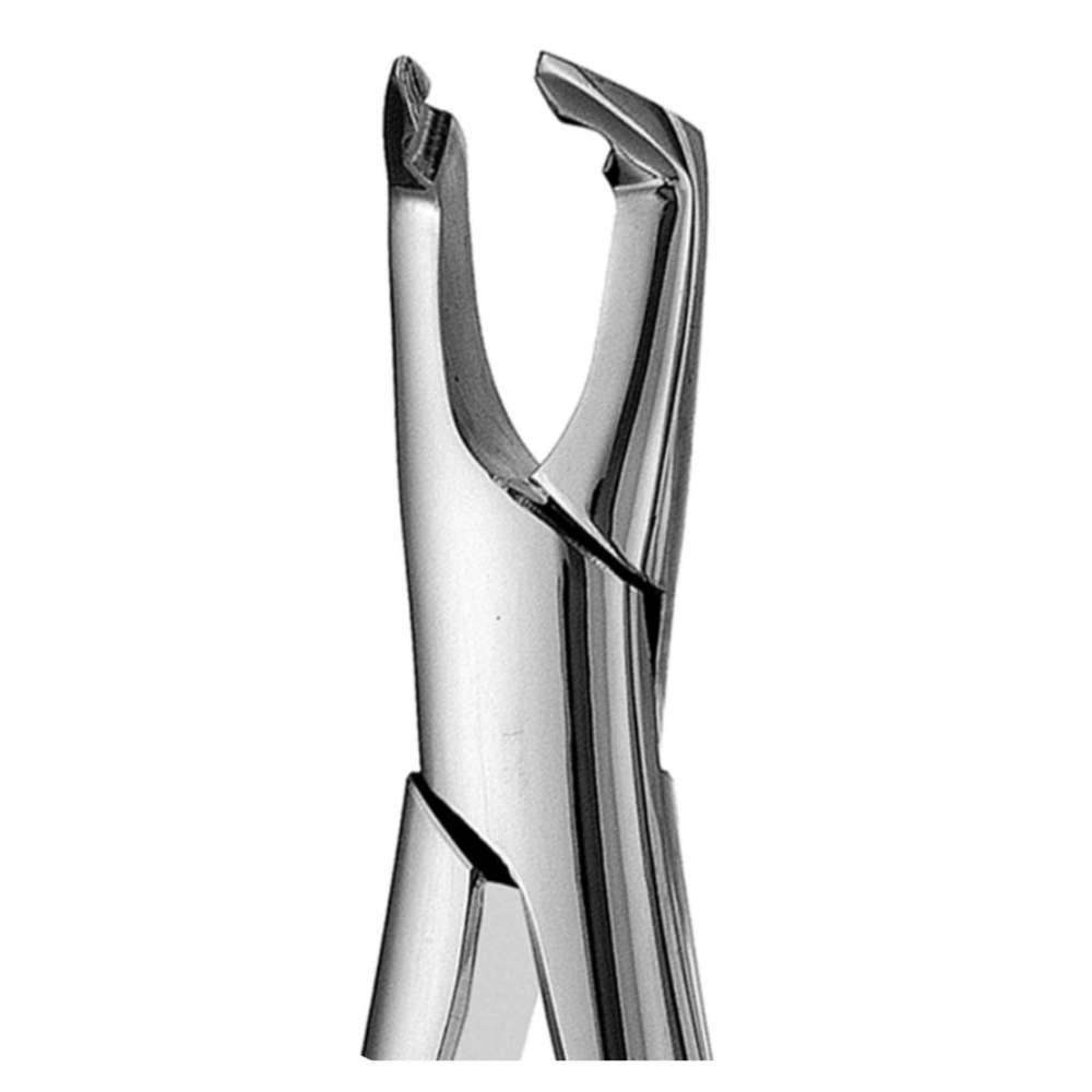 222 Lower Molar Apical Forceps (Atlas Pattern) - SurgiWorld FR222A, product photo 2