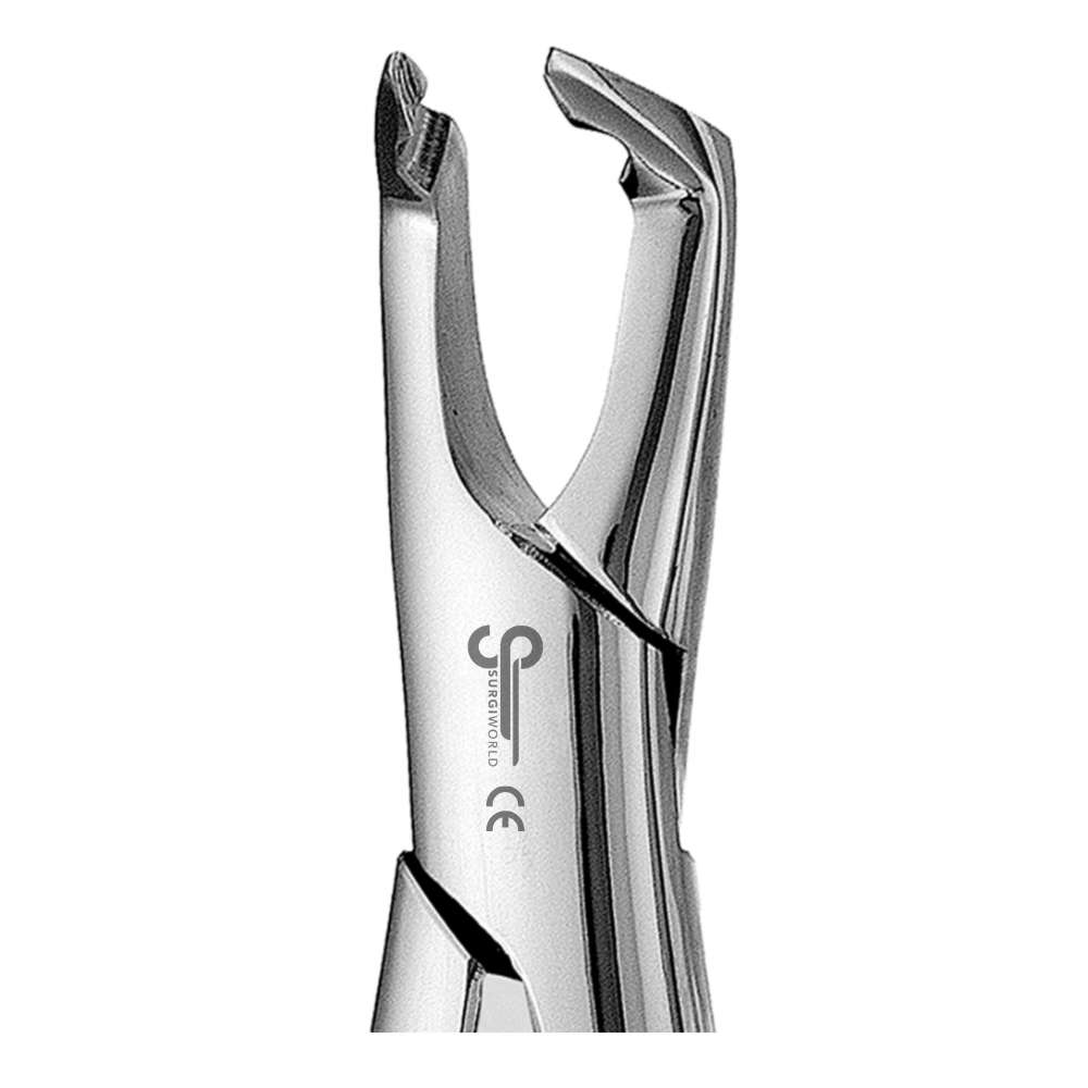 222 IS Lower Molar Apical Forceps - SurgiWorld FR222IS