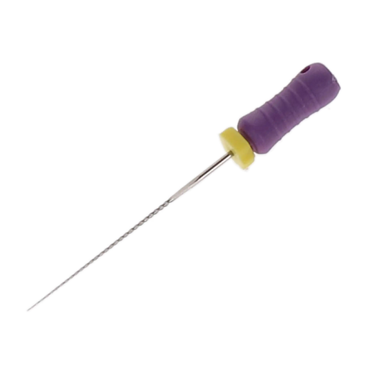 HSB Flex-Type stainless steel K-File 25 mm ISO #10 Purple 6/Pk