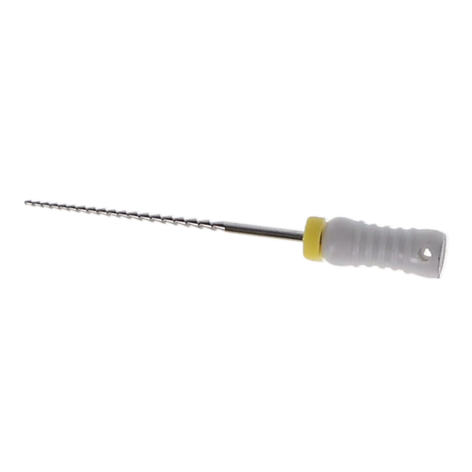 HSB stainless steel Hedstrom File 25 mm ISO #45 White 6/Pk